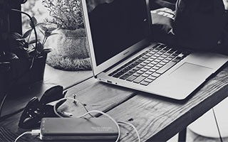 母猫叫声唤小猫有哪些作用？2026养宠新手的实用互动引导