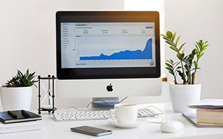 蓝眼睛的猫：品种特征与饲养指南2026最新版