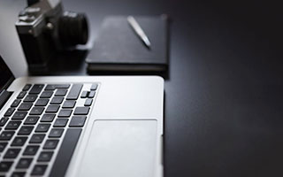 2026宠物行为研究新视角：猫记仇吗？科学解读+相处干货