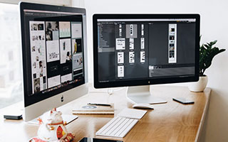 被猫亲近有什么预兆？2026科学+民俗双解读，实用小贴士