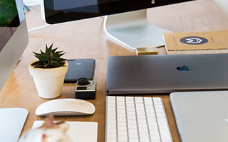 宠物猫品种大全：2026年最受欢迎的猫咪品种及饲养指南